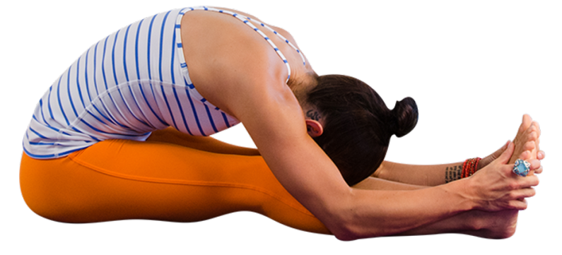 Seated forward bend pose yoga workout. Healthy... - Stock Illustration  [74965367] - PIXTA